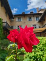 Lecture musicale illustrée – À fleur de notes, à fleur de mots…_La Côte-Saint-A…