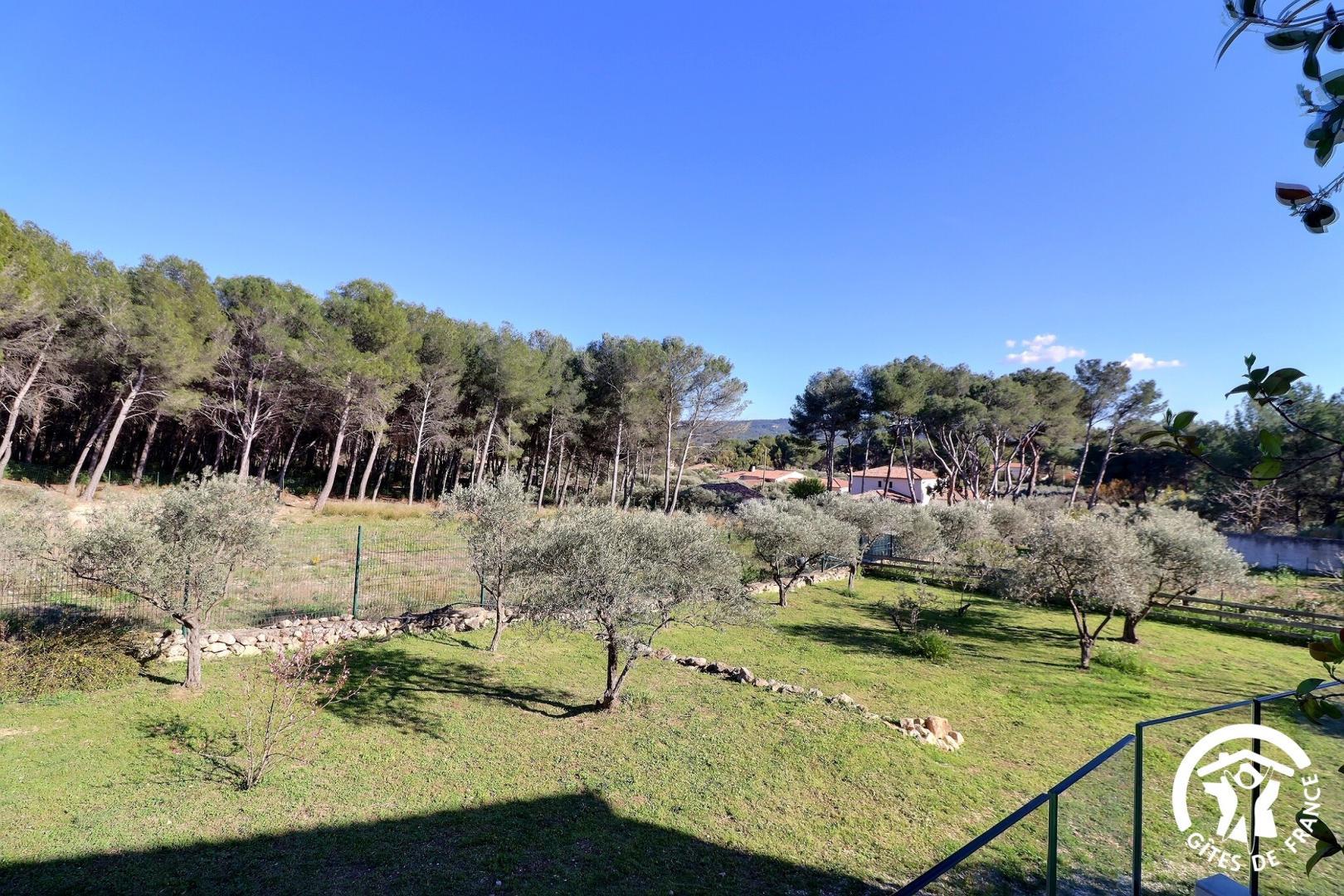 Repos sous les oliviers, Velaux - photo 2