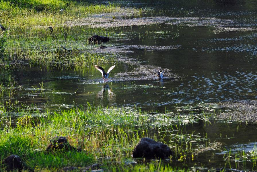 Lac Sainte-Suzanne_Carcès