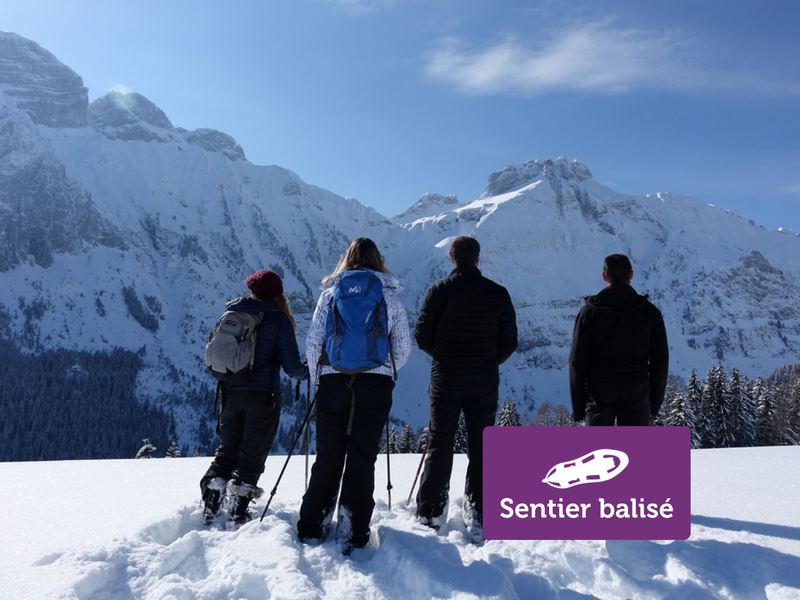 Les Frachets - Randonnée hivernale_Mont-Saxonnex