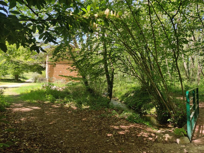 Balade chemin Saint-Vulbas