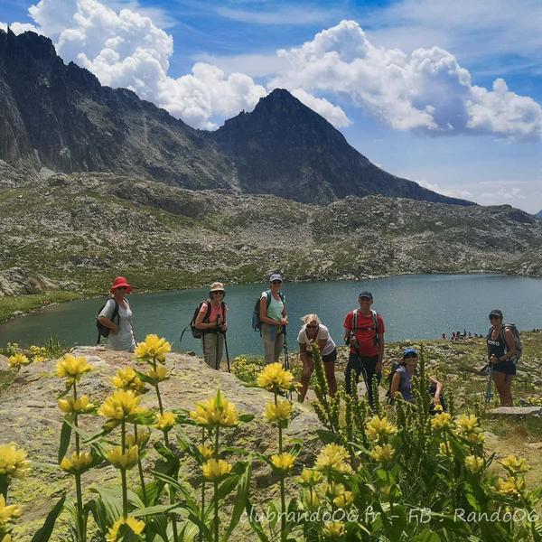 rando isola 2000