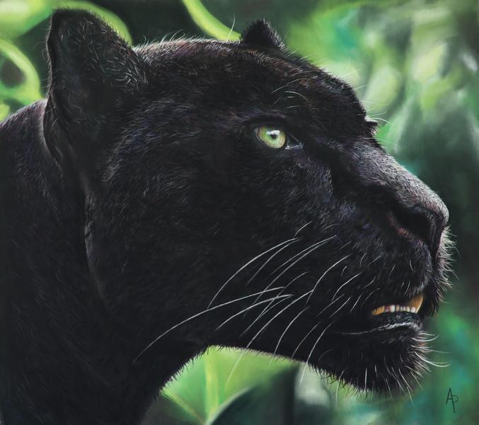 http://Exposition%20de%20peintures%20de%20Juillet