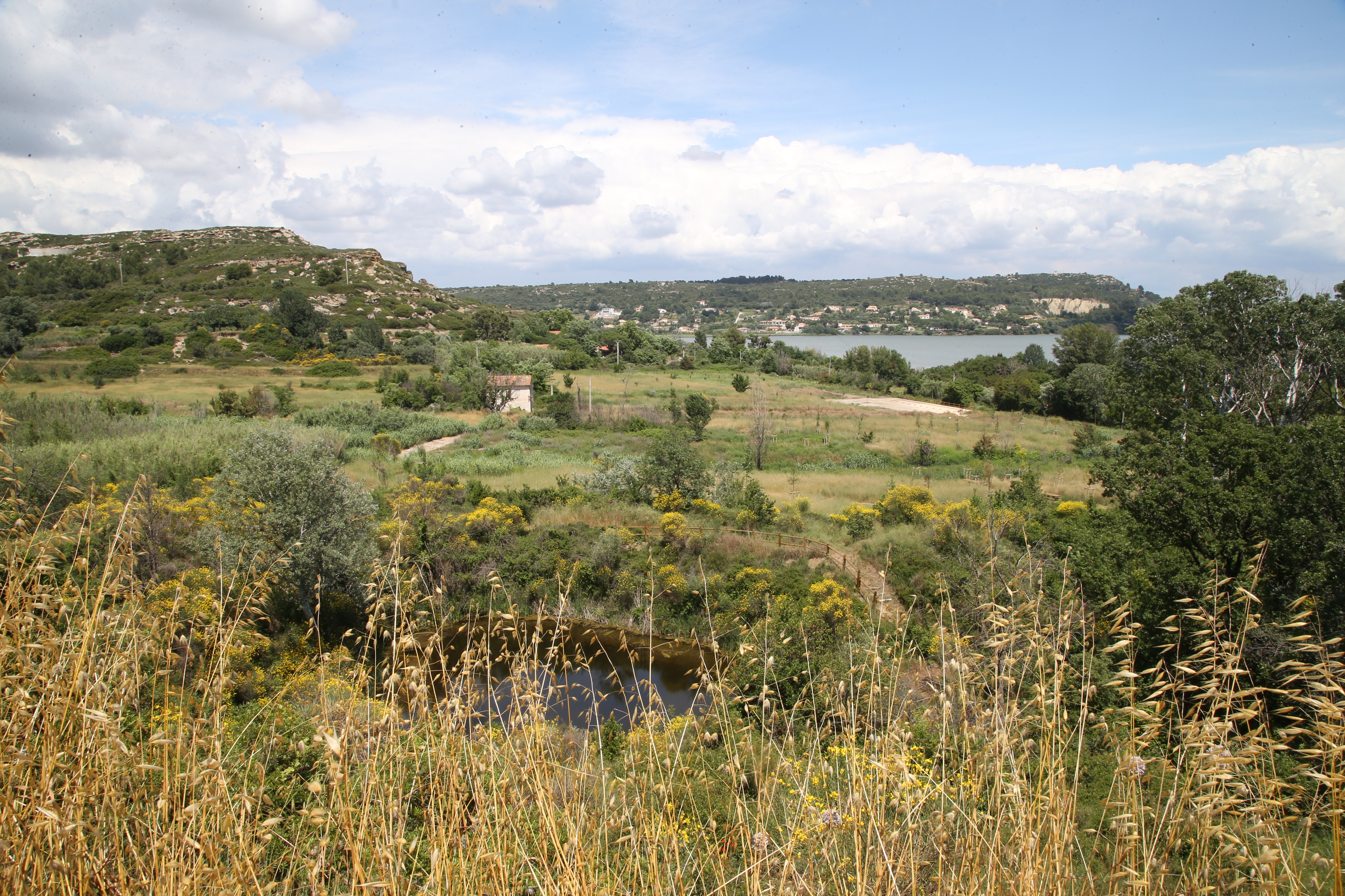 Le Parc de l'Olivier (Miouvin) - photo 2