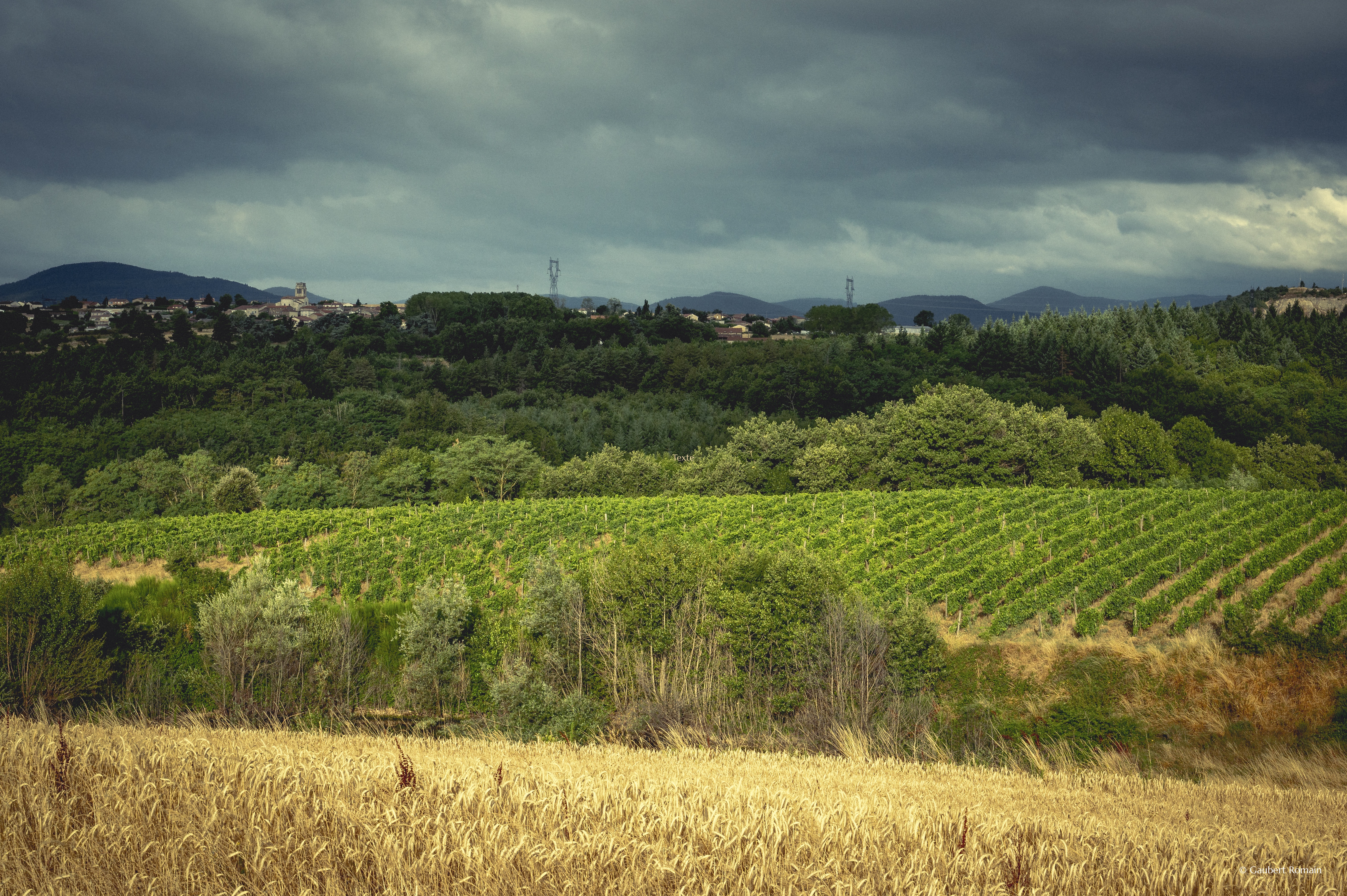Domaine des Bardes_Eclassan