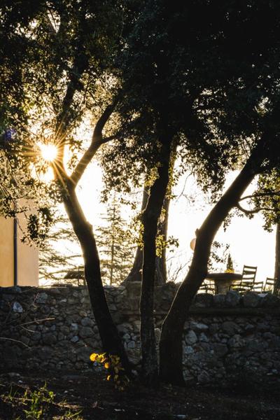 Sanctuaire Notre-Dame de Grâces - Cotignac