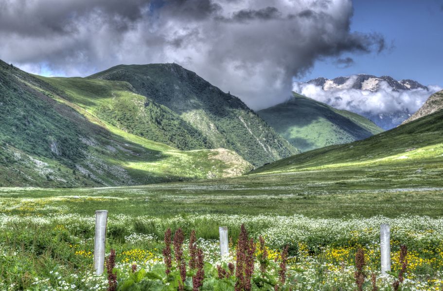Paysage bergerie col de Sarenne