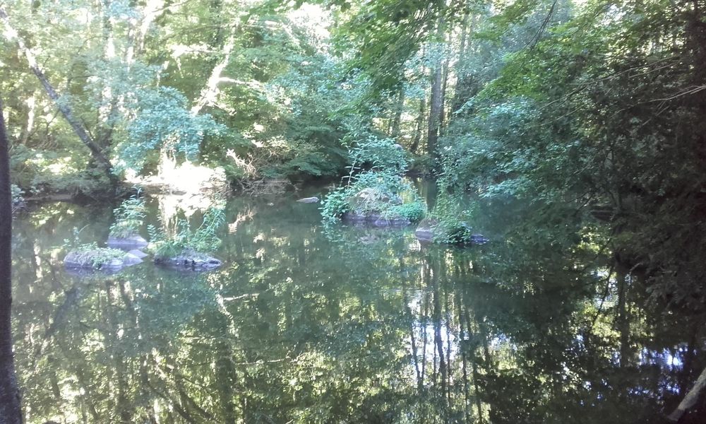 Lac de retenue & Forêt du Moulin de Record