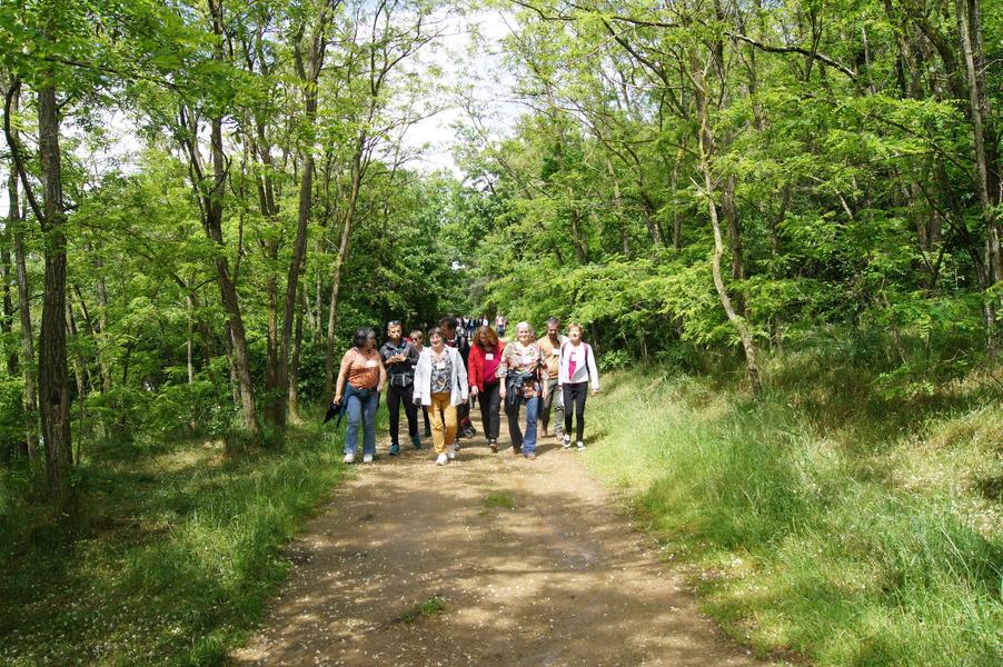 Au pas d'Alex_Ardoix