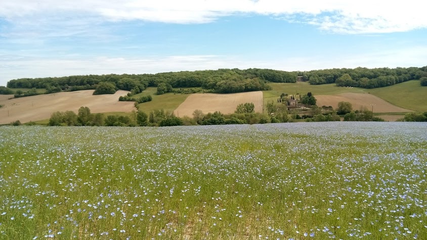 Point de vue Marsolan