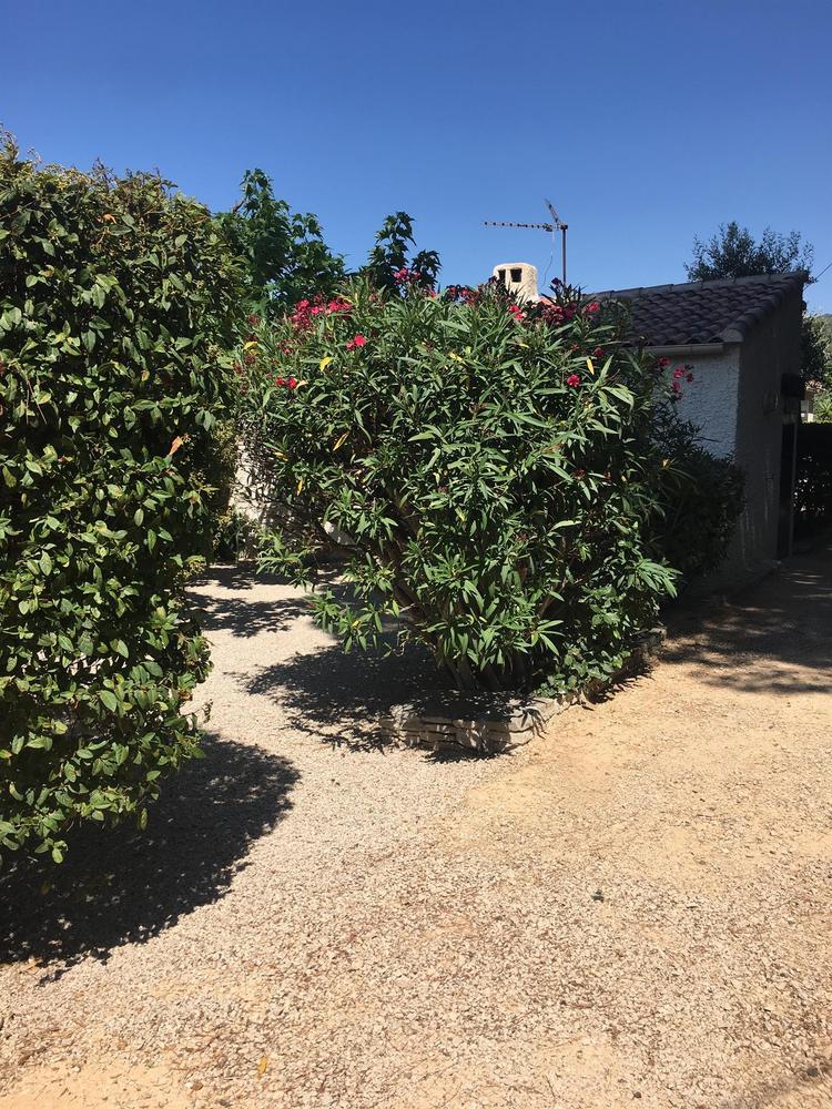 Le Recampado, Ceyreste - photo 19