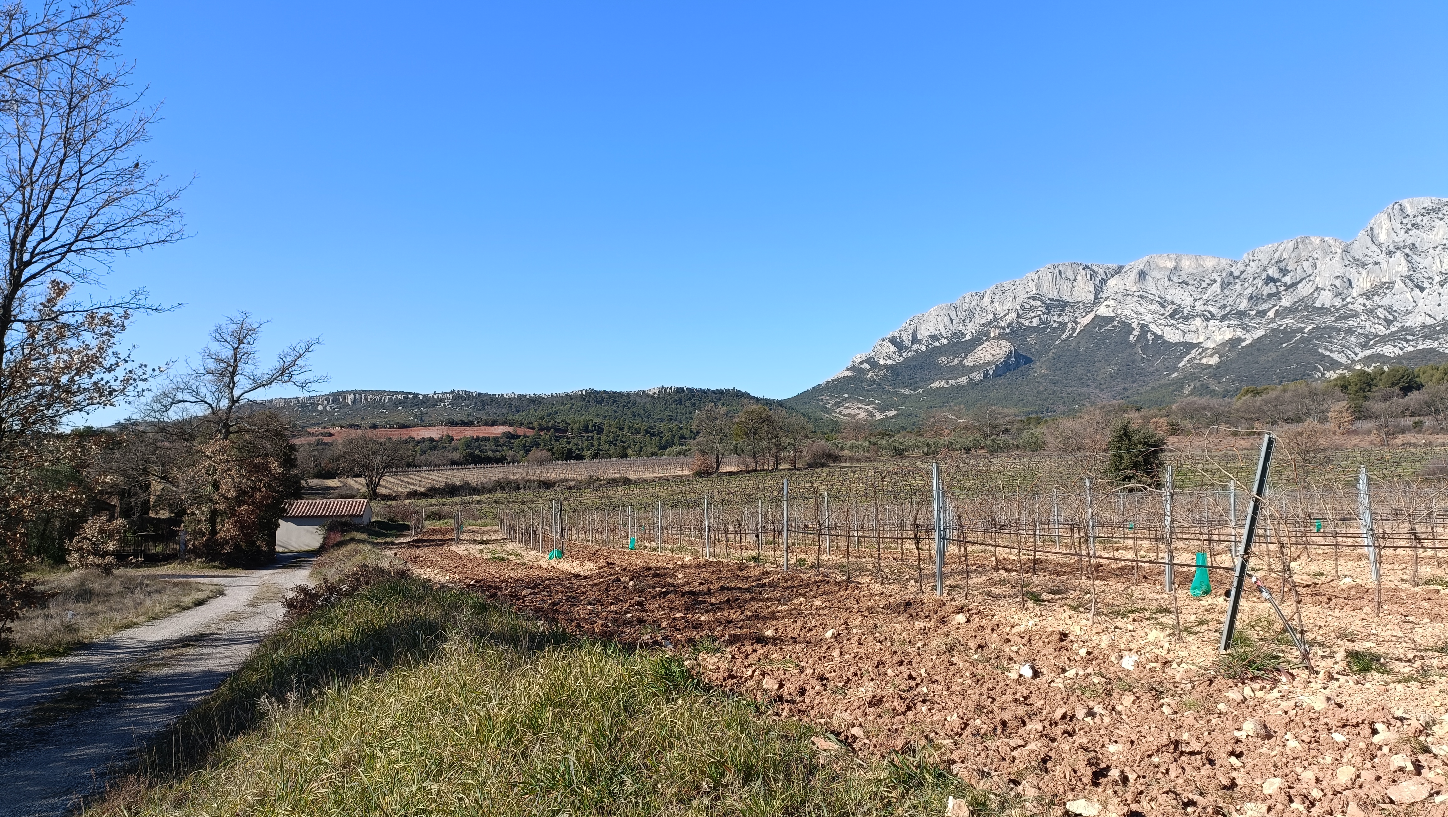 Le sentier des vignerons de Puyloubier — photo 2