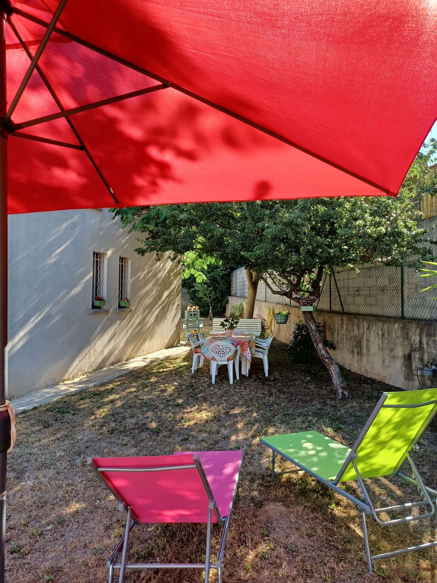 Zibeth — photo 2