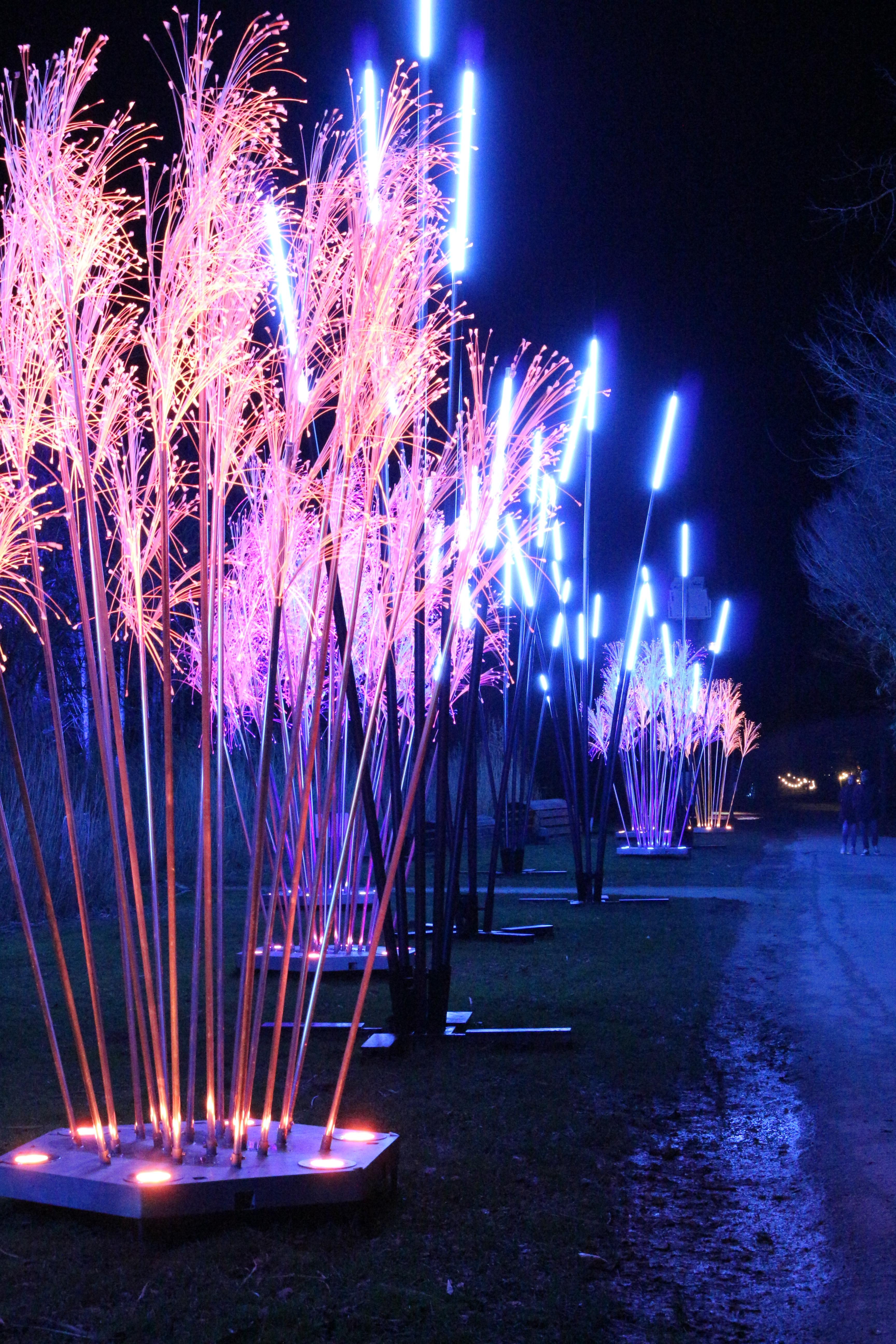 Les Nuits du Parc_Villars-les-Dombes