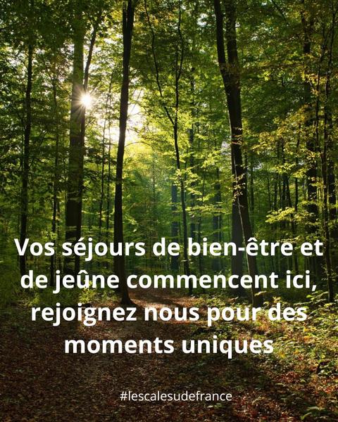 Le corps léger et l’esprit libre : cures détox et séjours bien-être._Labastide-Rouairoux