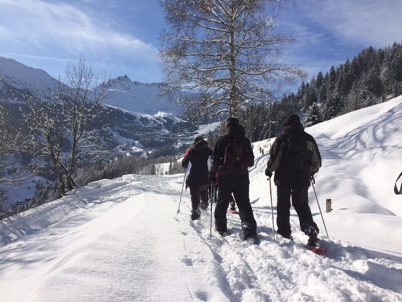 Sortie raquettes MRV