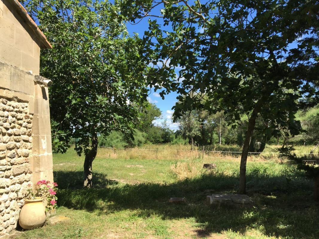 Mas de Fiélouse - Vaccarès, Saintes-Maries-de-la-Mer - photo 8