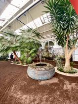 La Serre, ancienne école des beaux-art