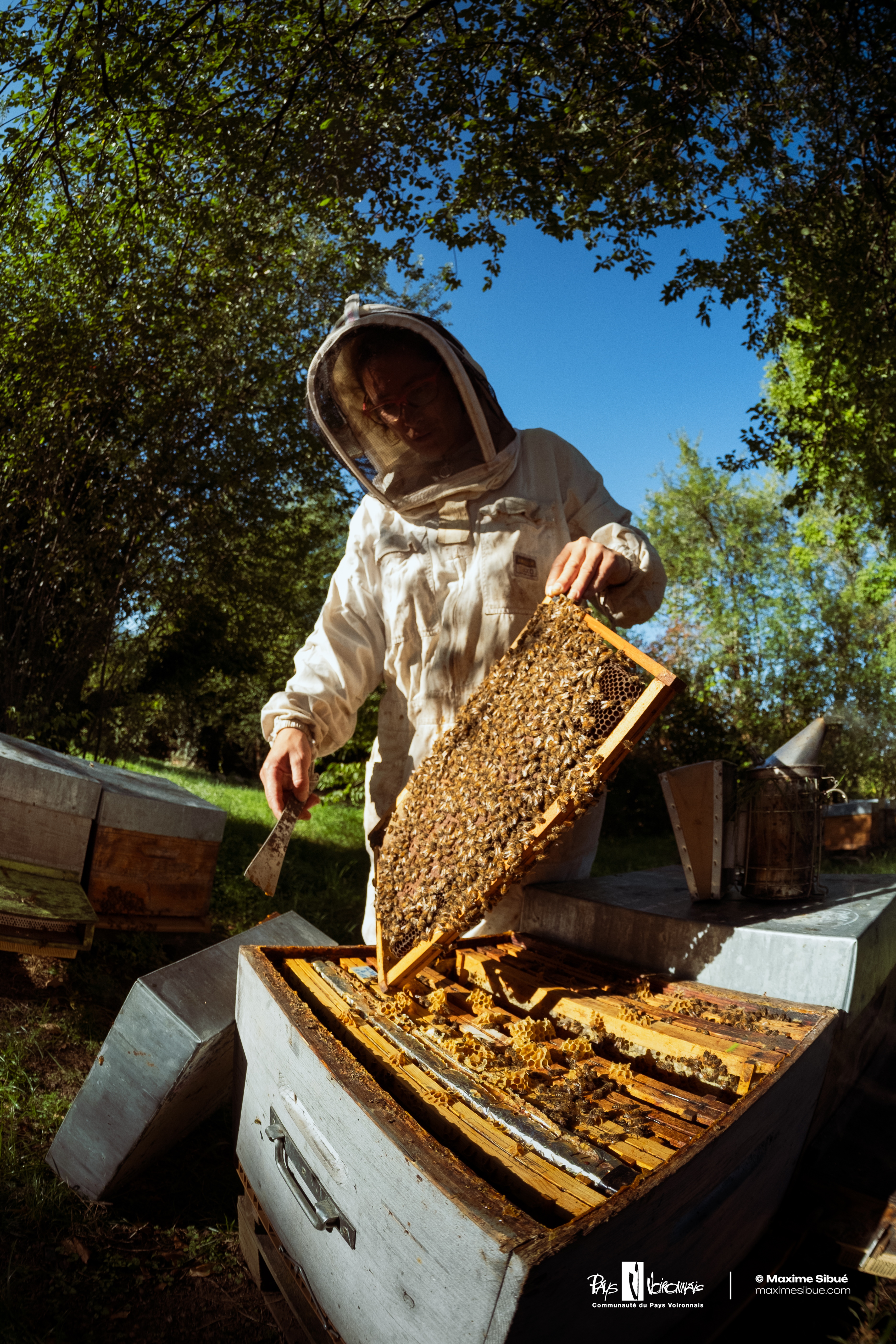 Un Rucher Honey and apiculture product sales at Ô rucher de Julie - Auvergne ...