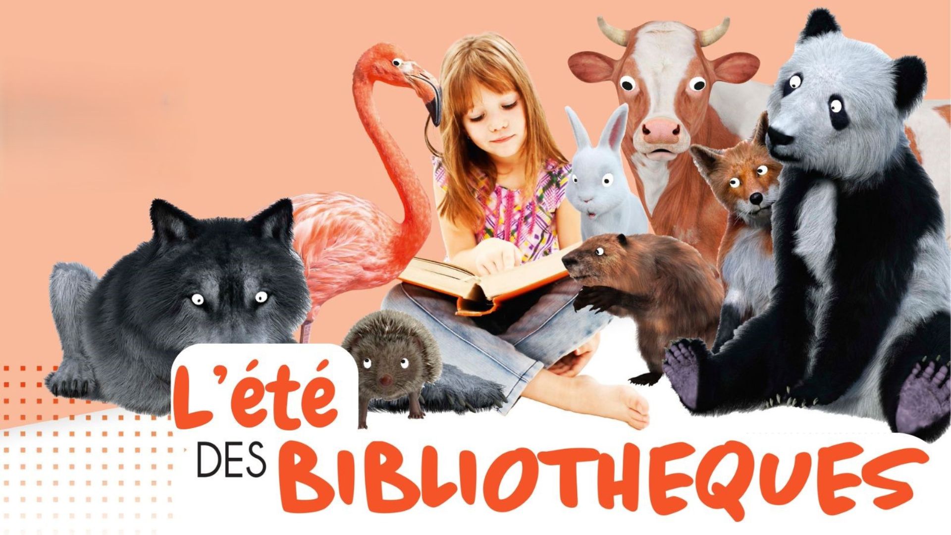 L'été des bibliothèques