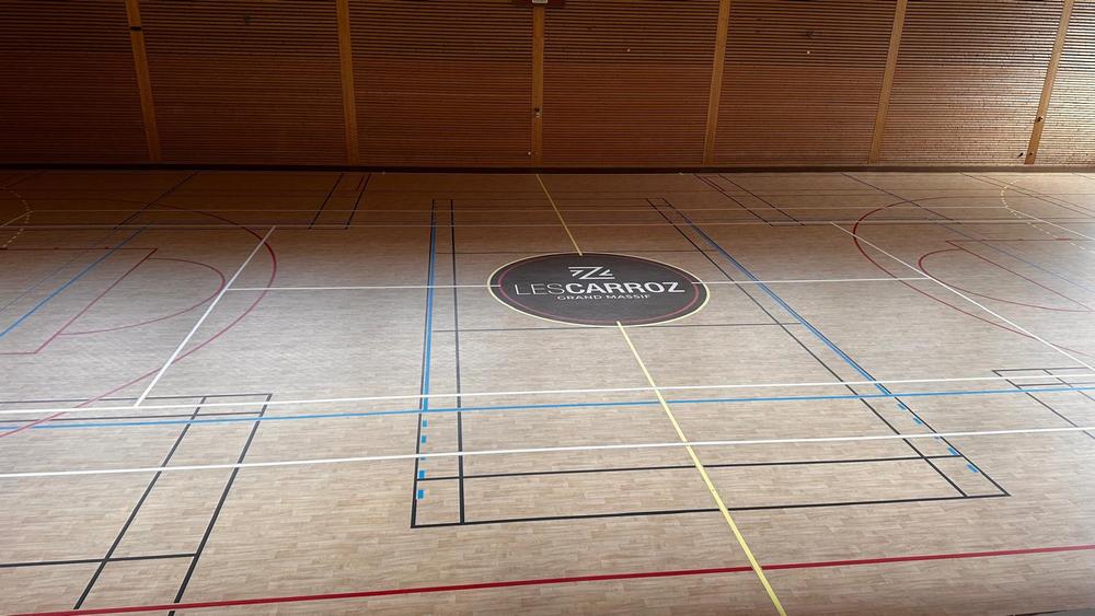 Salle du Mont Favy_Les Carroz-d'Arâches