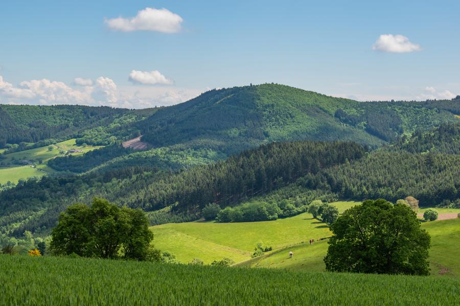 La Roche d\'Ajoux_Poule-les-Écharmeaux