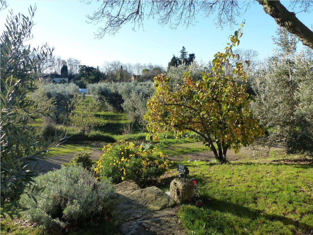 Sébastien, Paradou - photo 4