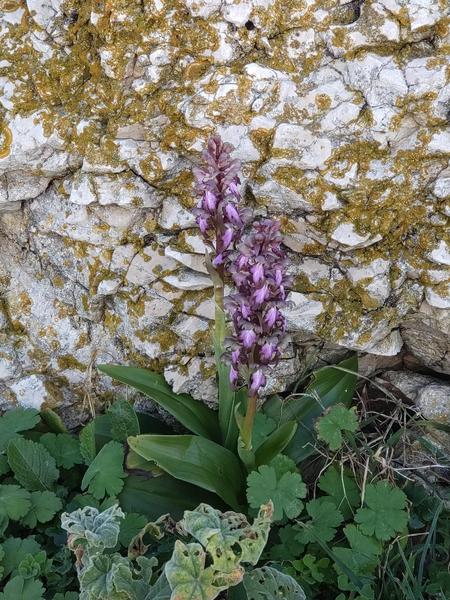 Naturoscope_Marseille
