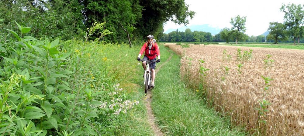 Circuit VTT de Lagneux  - n°11