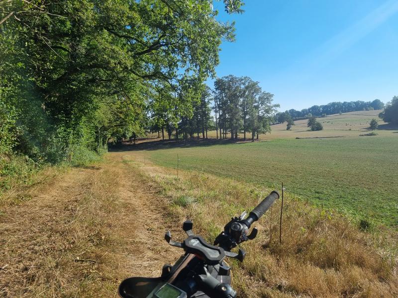 Les grandes terres de Marboz