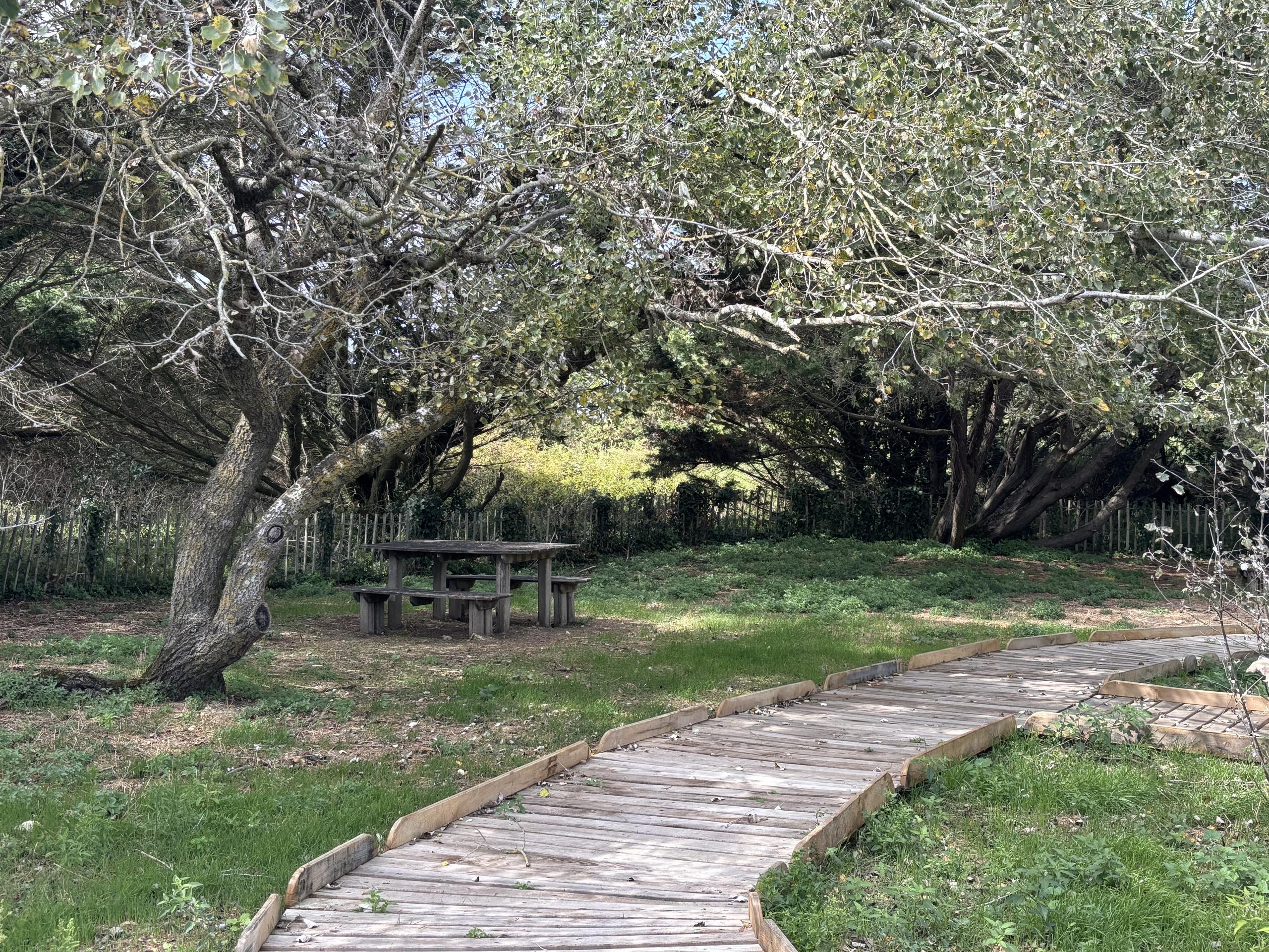 Aire de pique-nique du Petit Sergent