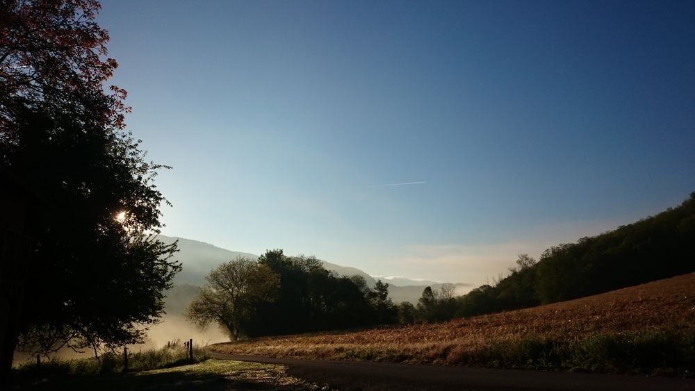 Cotenvert maison d'hôtes