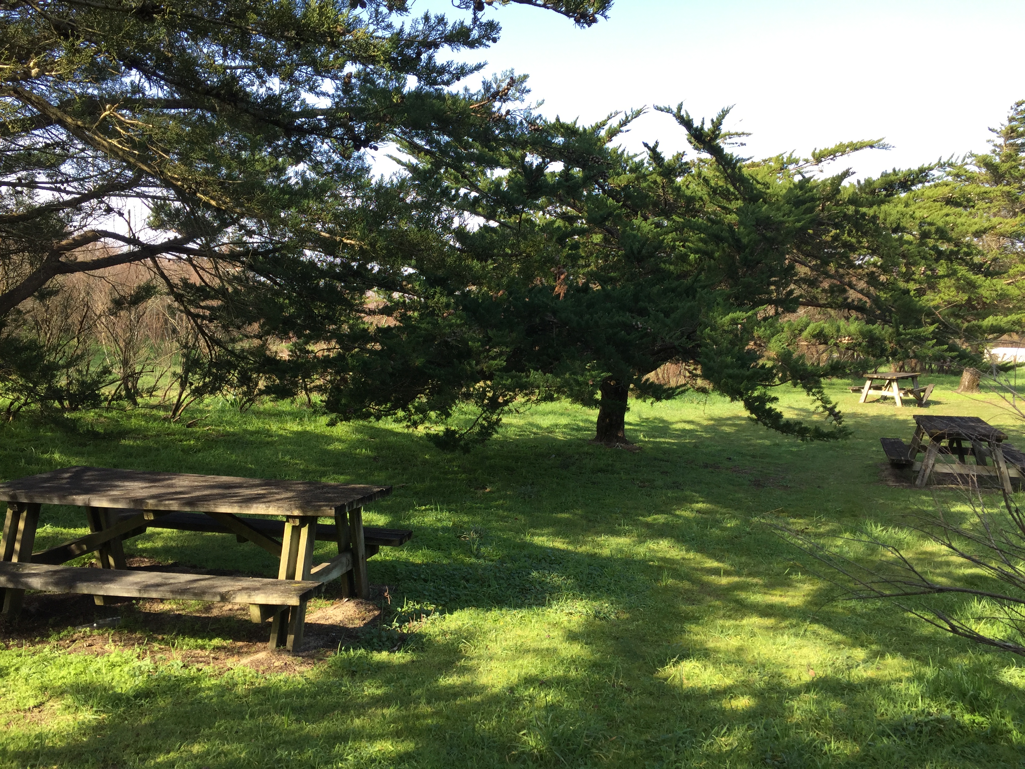 Aire de pique-nique La Perroche