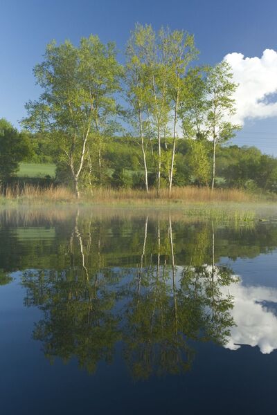 Espace Naturel Sensible Etang de Bas et Falaises de Ravières