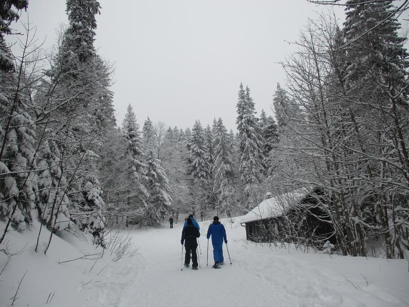 Sentier raquettes de la Faucille au Turet_Gex