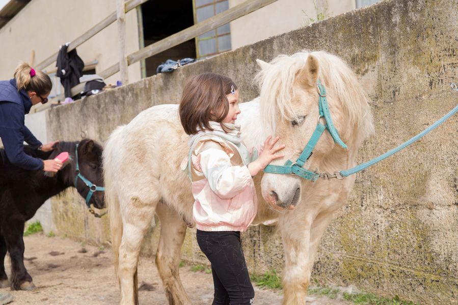 Poney Club du Rosson, pony club