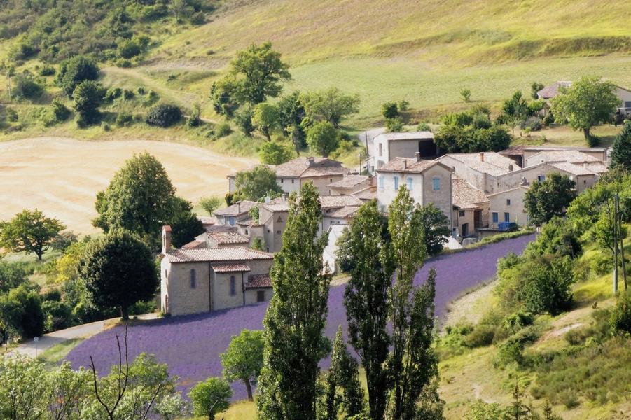 le village aux couleurs de la lavande