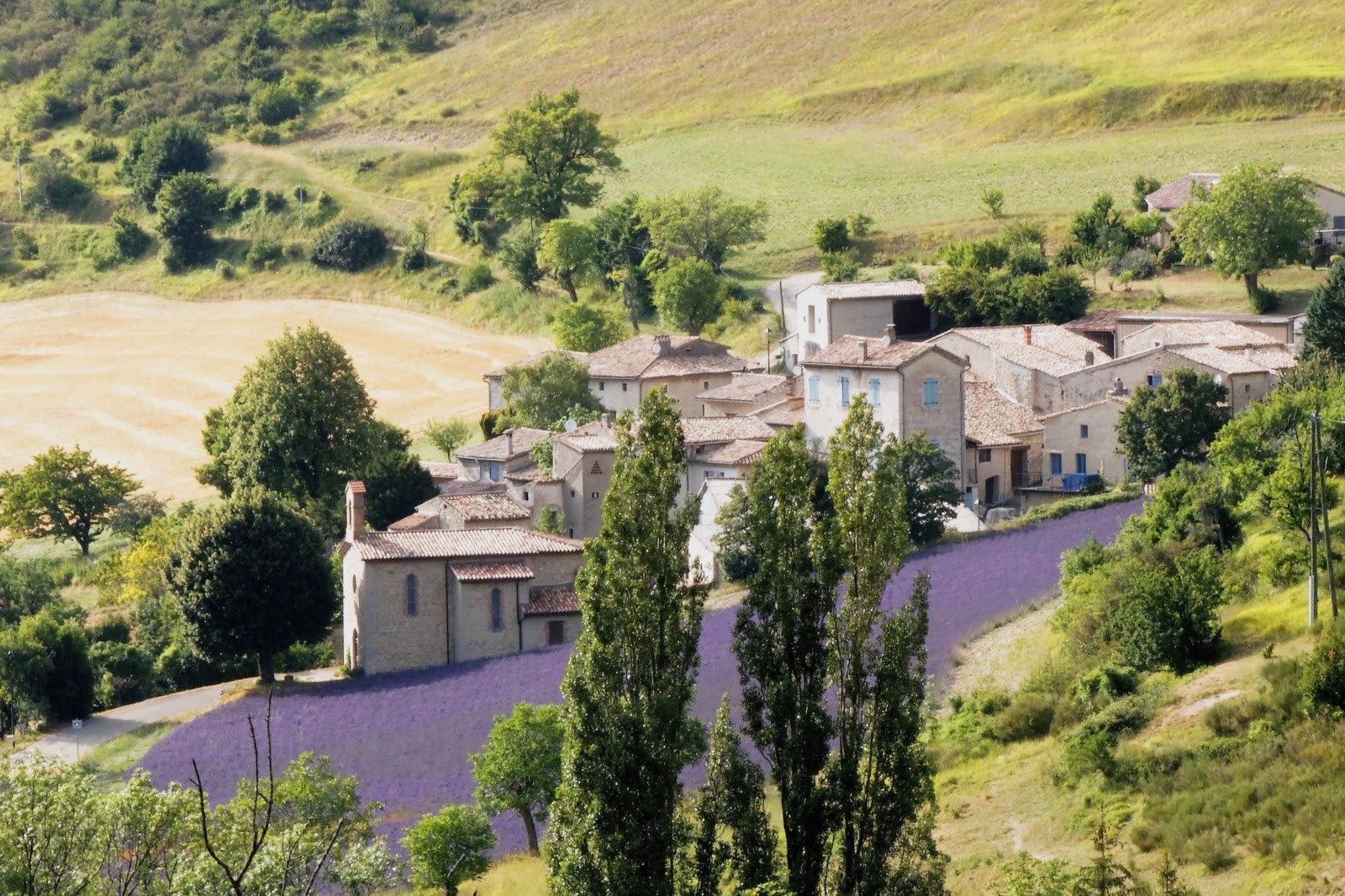 le village aux couleurs de la lavande