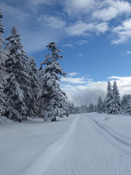 La belle piste de ski de fond
