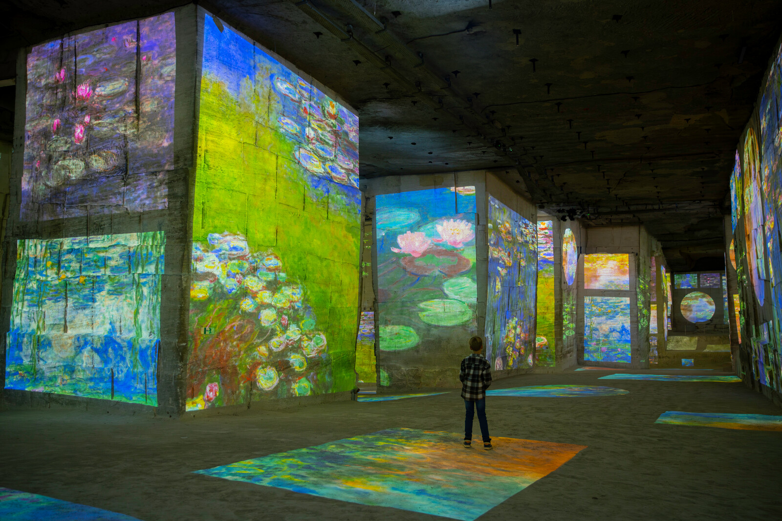 Carrières des Lumières, Les Baux-de-Provence - photo 4