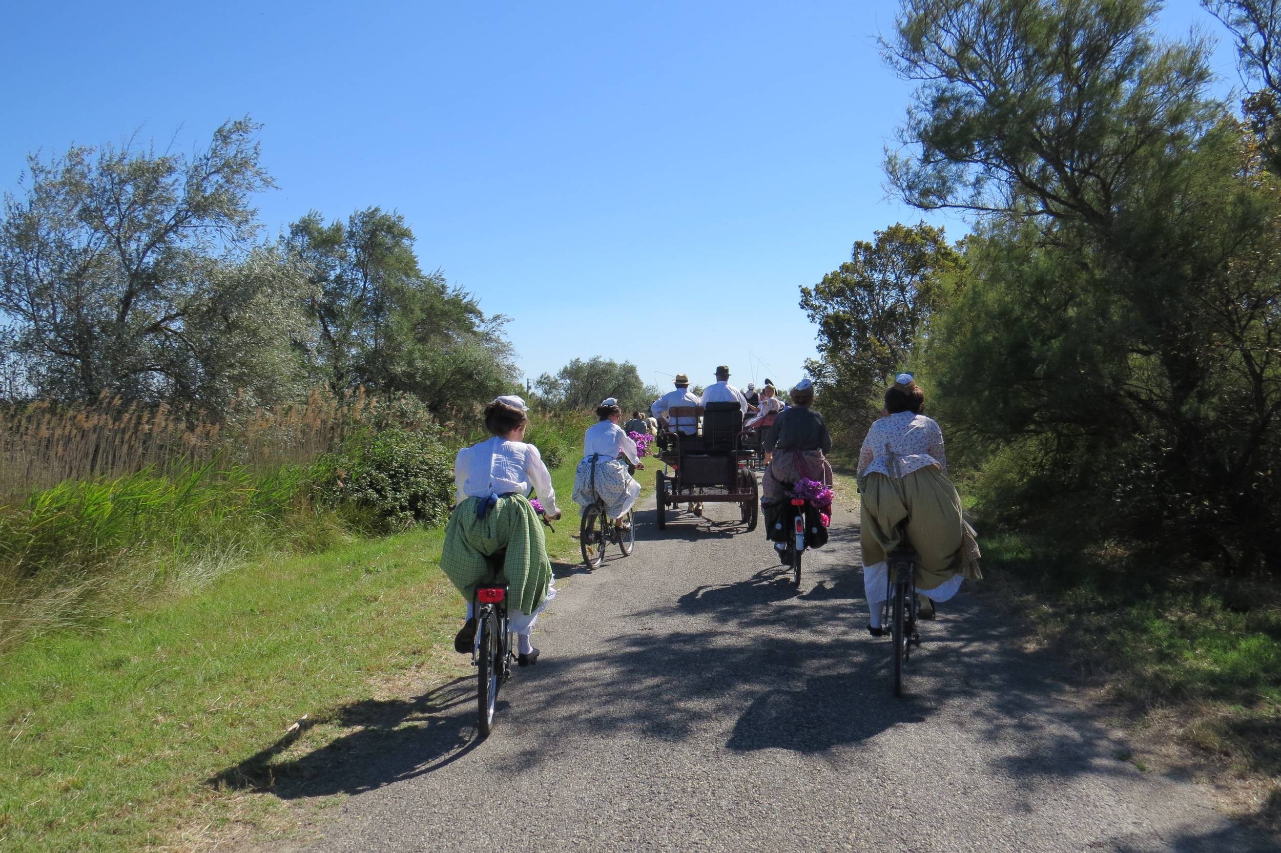 ARLES - Le chemin des taureaux à vélo — photo 3