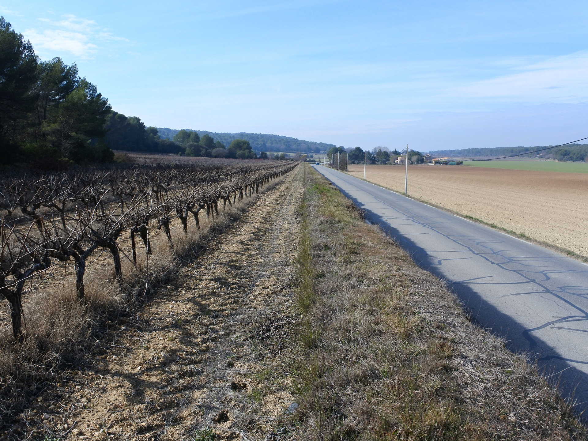 Le vignoble aixois, le vignoble des bastides - La plaine de la Touloubre