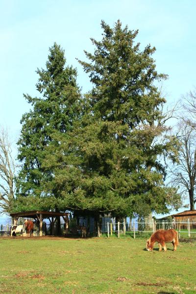 Visite de l'Arche de Julie