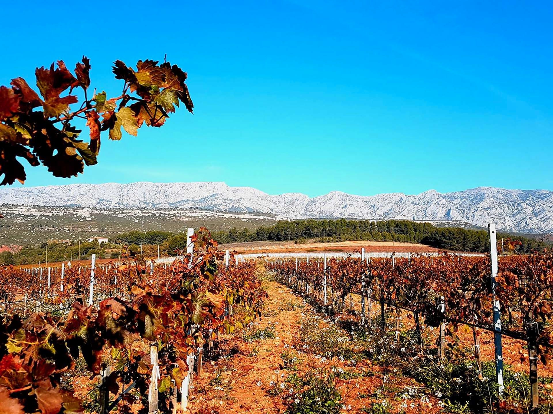 Château de la Bégude, Rousset - photo 3