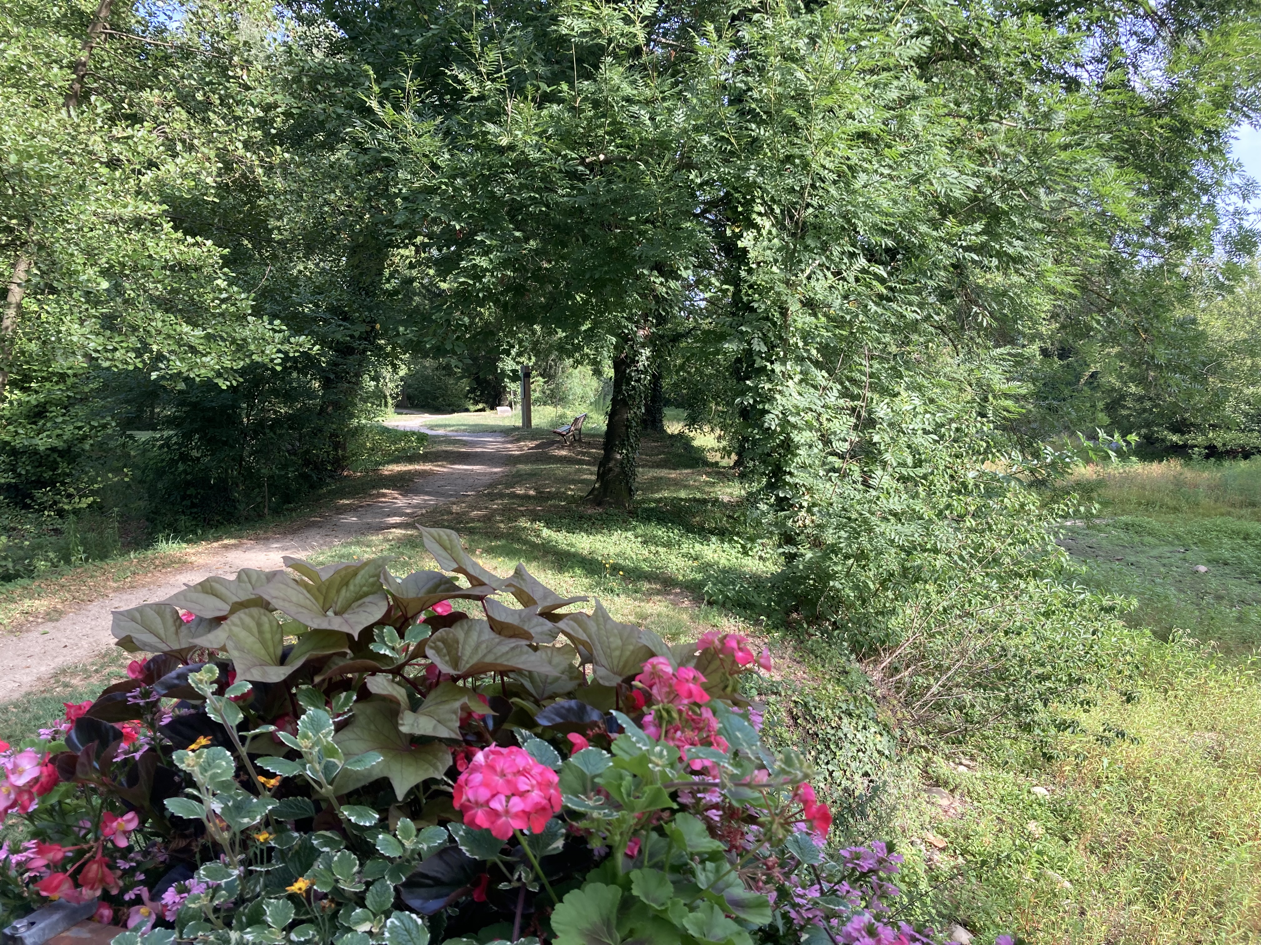 chemin Parc des sources à Manthes