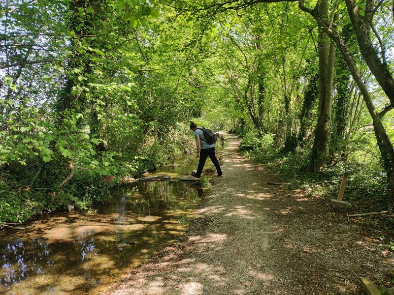 Balade chemin Saint-Vulbas