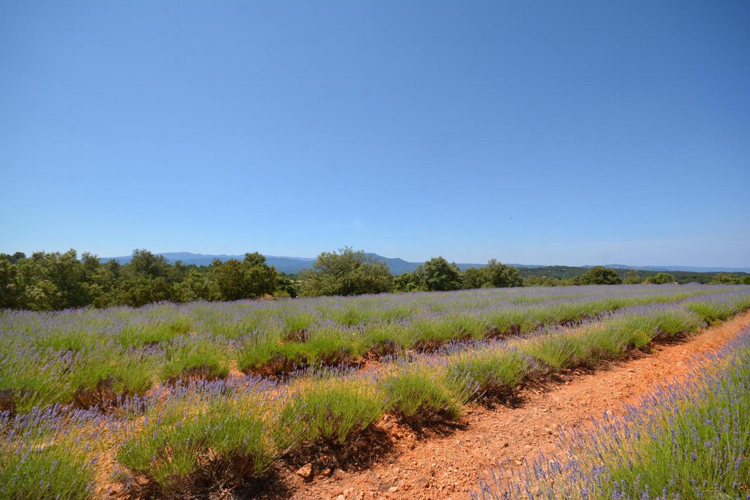 La Sainte Victoire, Jouques - photo 29
