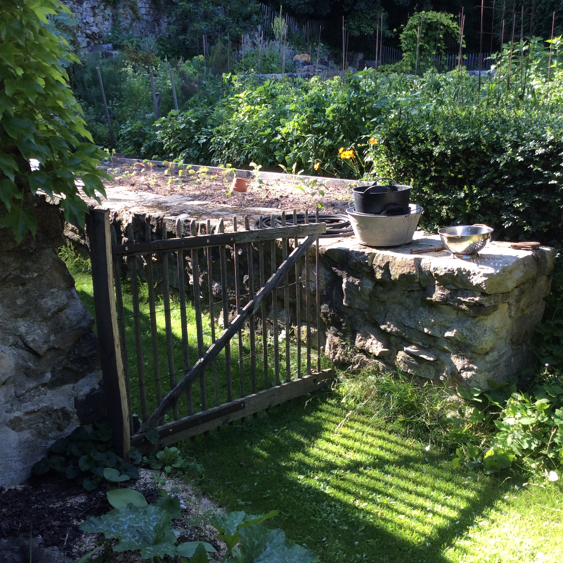 L’entrée du potager