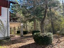 Chalet Tuilerie - Villars-Colmars - Photo 3