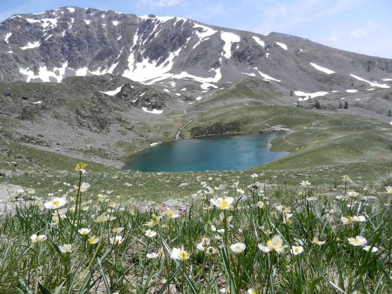 Lac fleuri et neige en montagne pour les randos rafraichissantes ! 